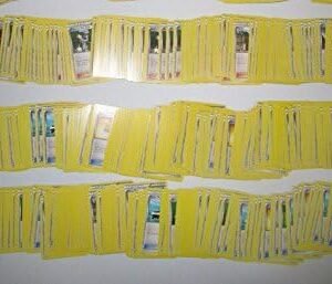 Pokemon TCG Lot of 25 Trainer Cards - No Duplicates